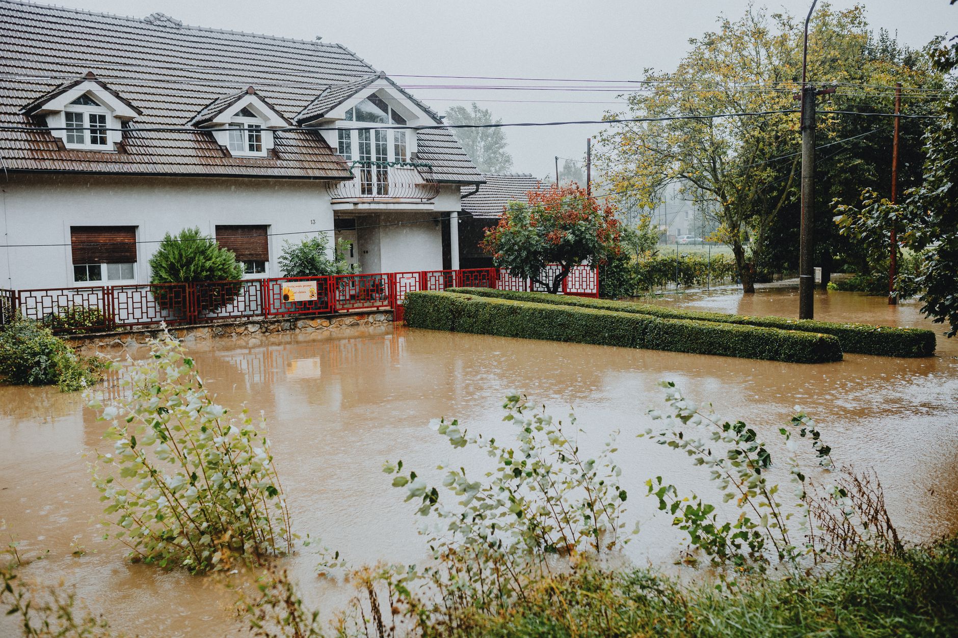 From Waterlogged to Whole: A Home's Recovery Room by Room